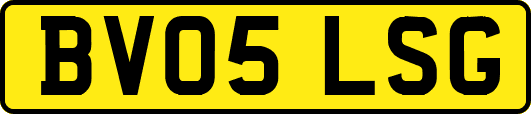 BV05LSG