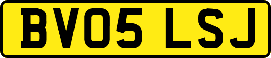 BV05LSJ