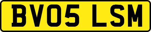BV05LSM