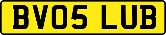 BV05LUB