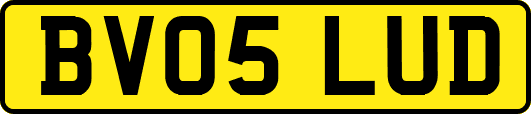 BV05LUD