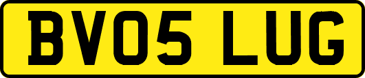 BV05LUG