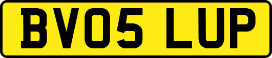 BV05LUP