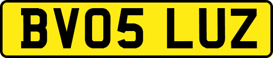 BV05LUZ