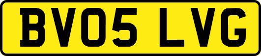 BV05LVG