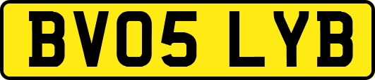 BV05LYB