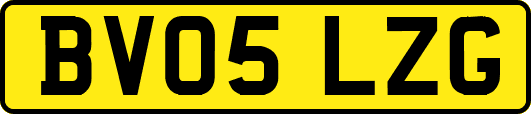 BV05LZG