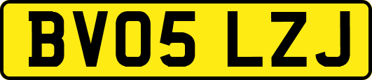BV05LZJ