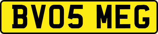 BV05MEG