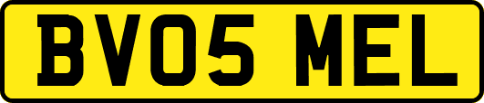 BV05MEL