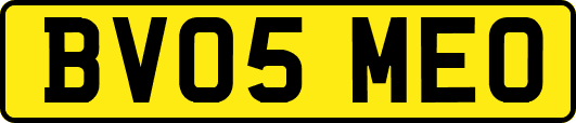 BV05MEO