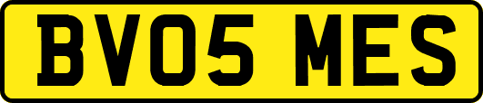 BV05MES