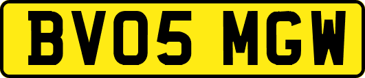 BV05MGW