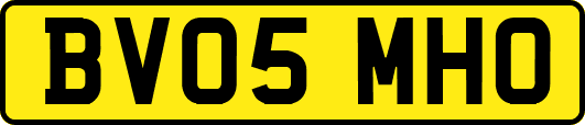 BV05MHO