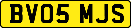 BV05MJS