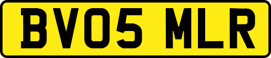 BV05MLR