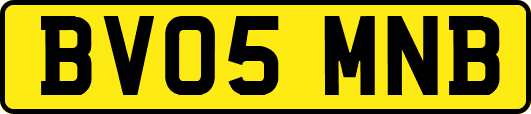 BV05MNB