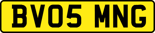 BV05MNG