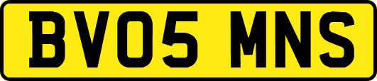 BV05MNS