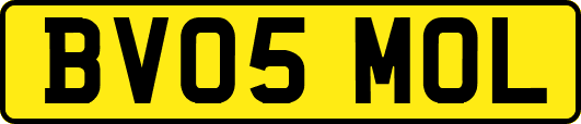 BV05MOL