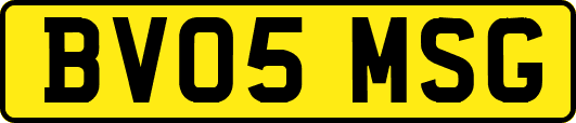 BV05MSG
