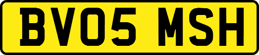BV05MSH