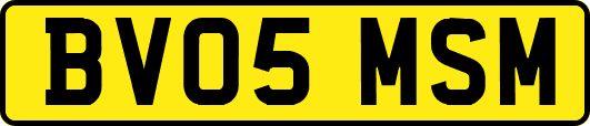 BV05MSM