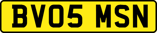 BV05MSN