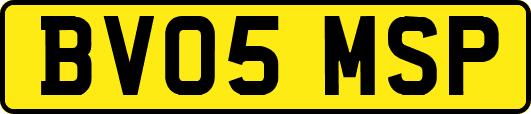 BV05MSP