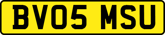 BV05MSU