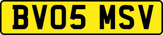BV05MSV