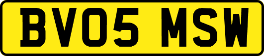 BV05MSW