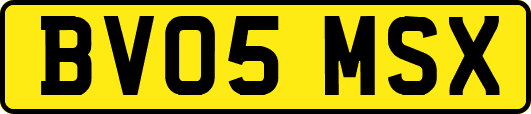 BV05MSX