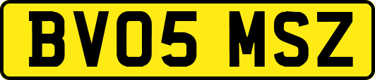 BV05MSZ
