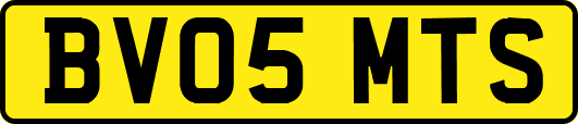 BV05MTS