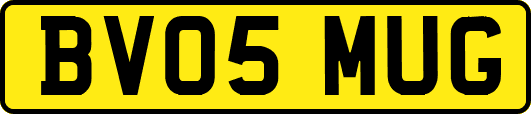 BV05MUG