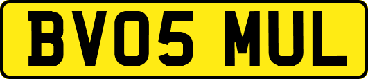BV05MUL
