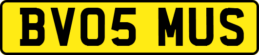 BV05MUS