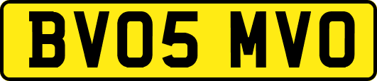 BV05MVO