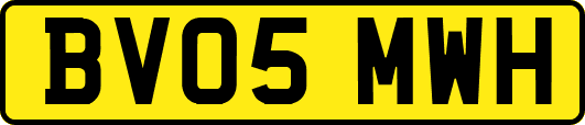 BV05MWH