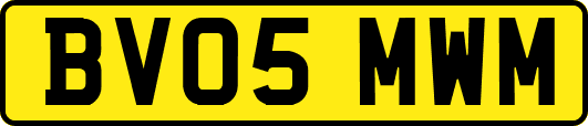 BV05MWM