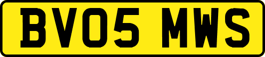 BV05MWS
