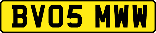 BV05MWW