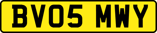 BV05MWY