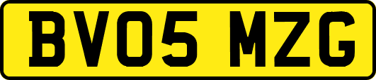 BV05MZG