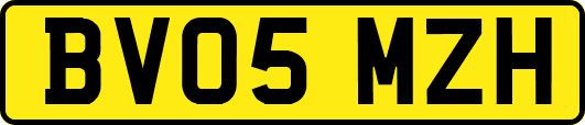 BV05MZH