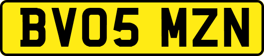 BV05MZN