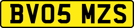 BV05MZS
