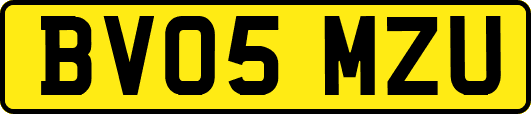 BV05MZU