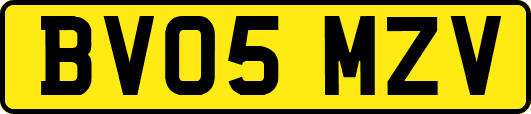 BV05MZV